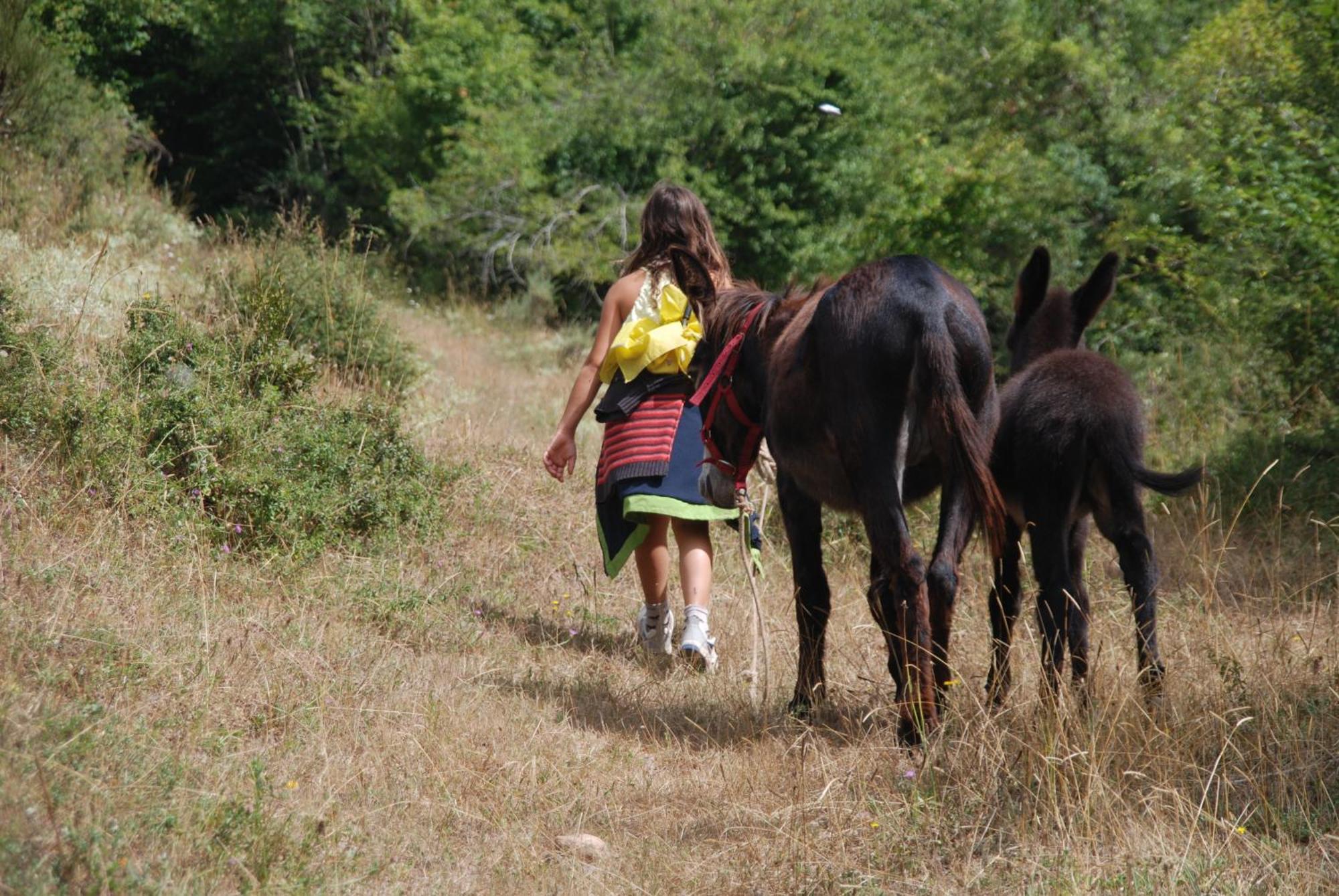 Agroturismo Mari Cruz Villanueva de Arce Экстерьер фото