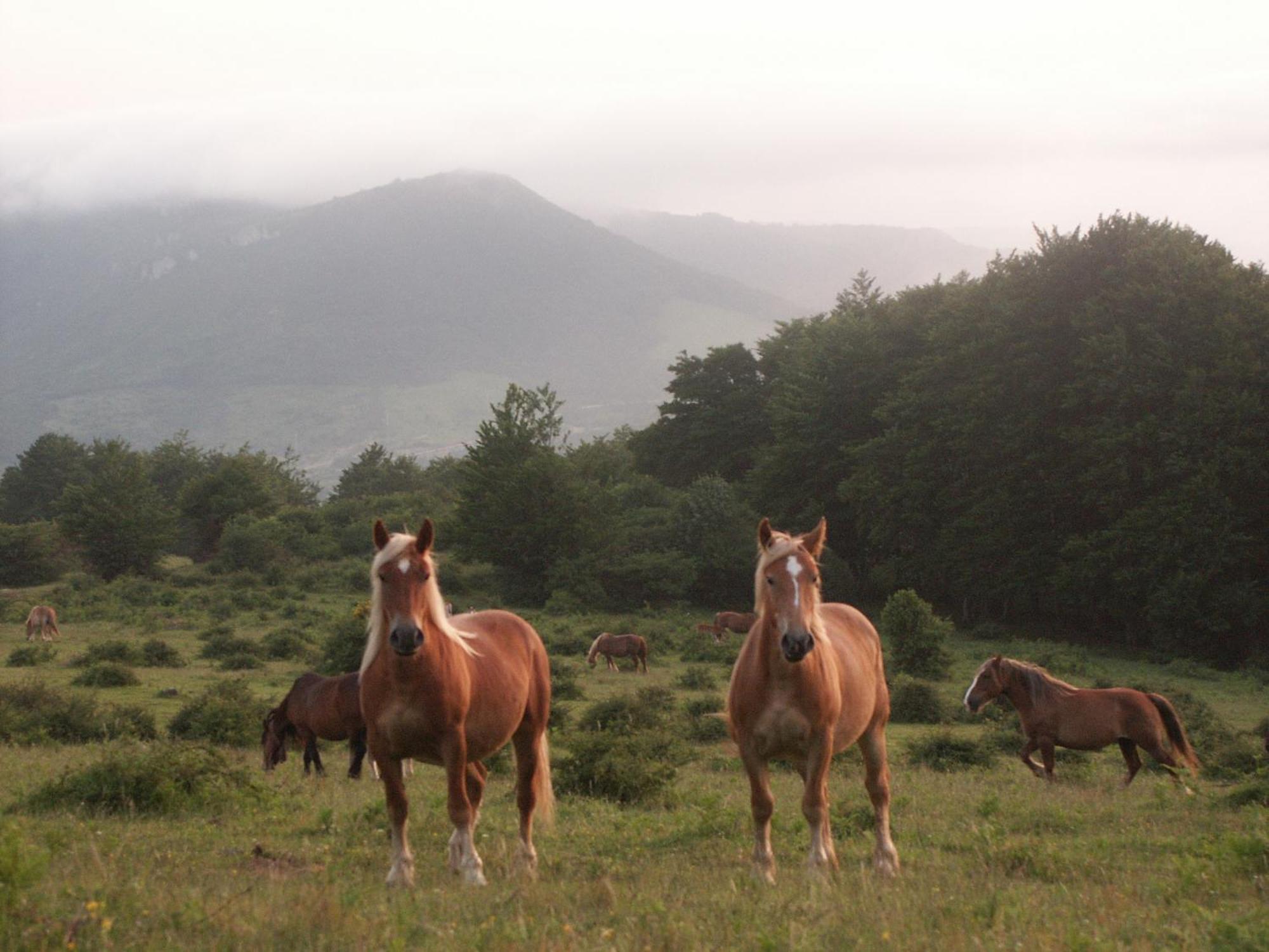 Agroturismo Mari Cruz Villanueva de Arce Экстерьер фото